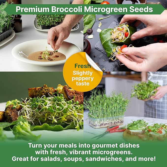 Broccoli Sprouts